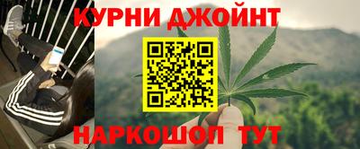 крисы Славянск-на-Кубани