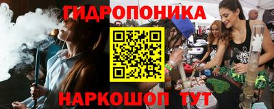 крисы Славянск-на-Кубани