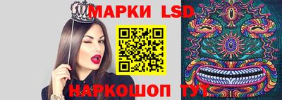 крисы Славянск-на-Кубани