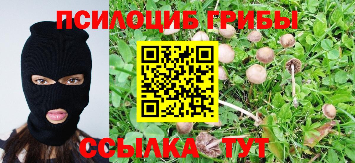 наркошоп  Вход с VPN  Учалы  Псилоцибиновые грибы Magic Shrooms 