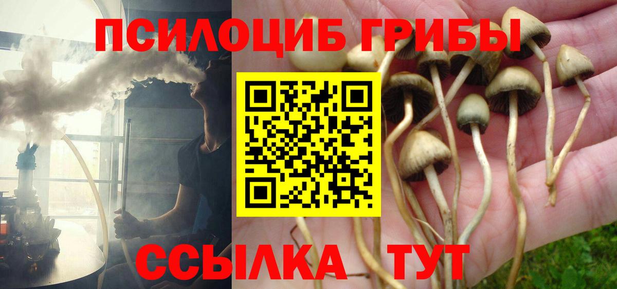 Галлюциногенные грибы Magic Shrooms Учалы