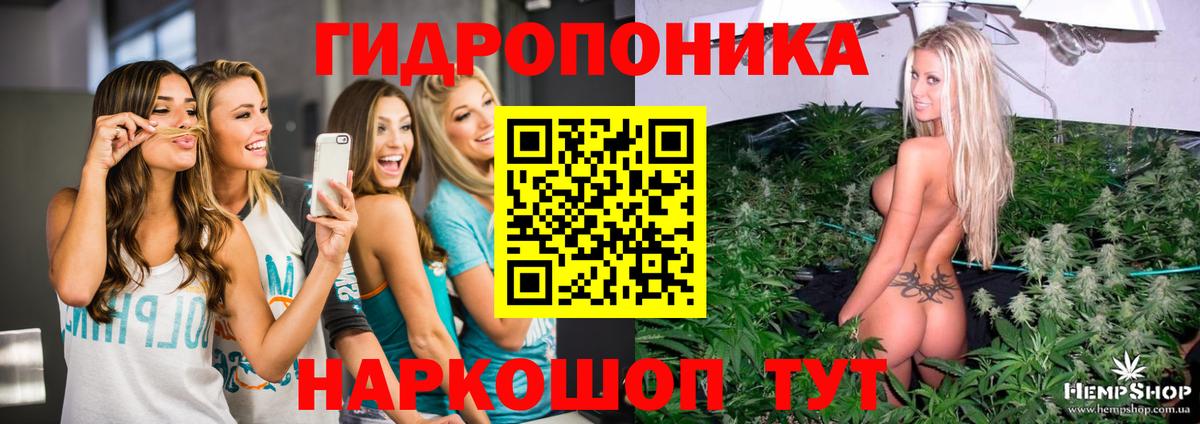 Бошки Шишки сатива Учалы